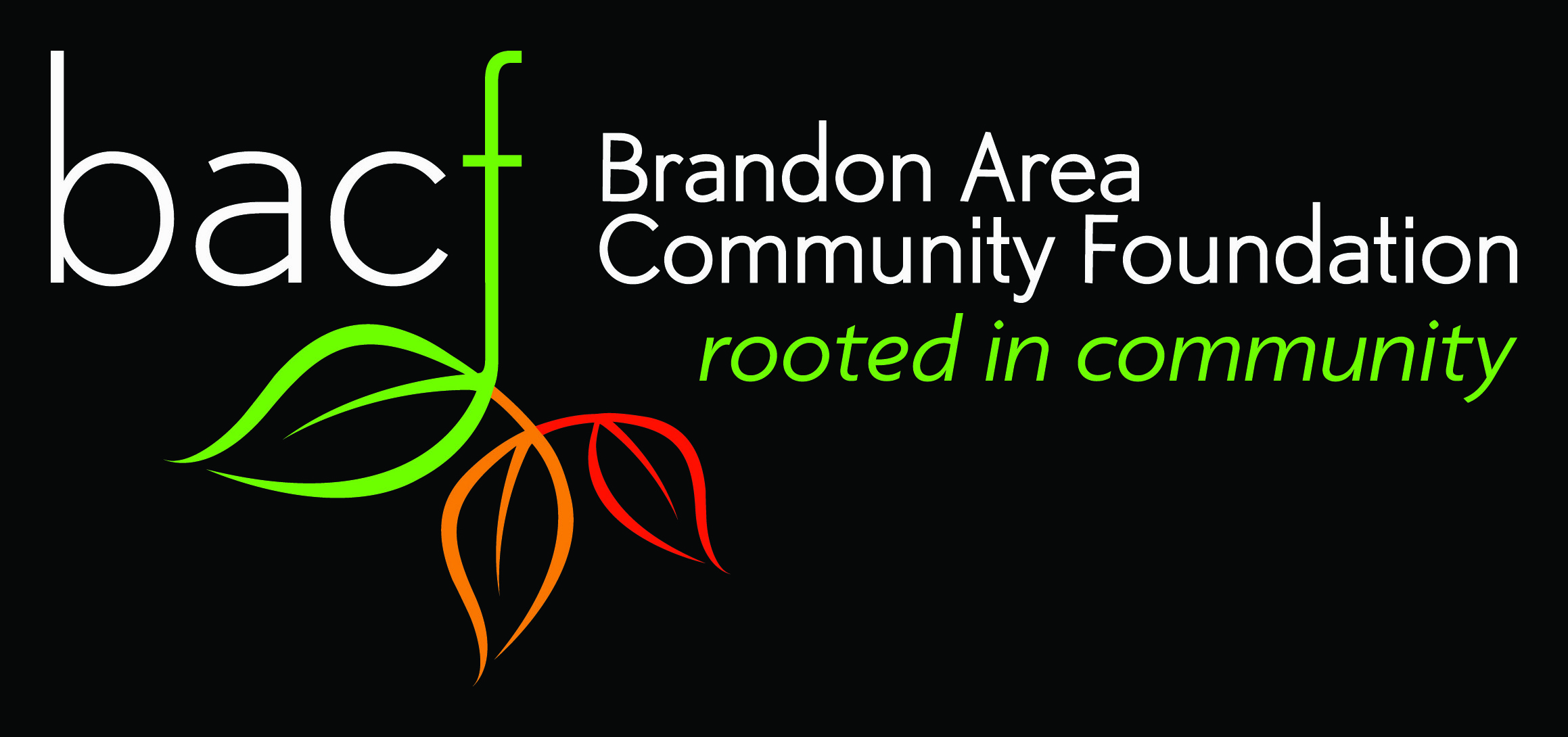 Image result for brandon area community foundation